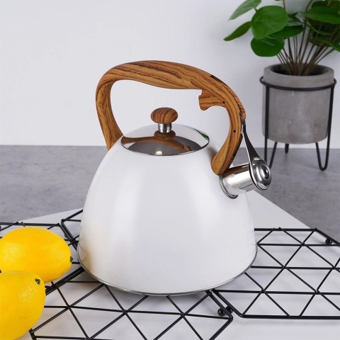 Czajnik z Gwizdkiem Nierdzewny Dekoracyjny Stalowy Biały ORION 3 L