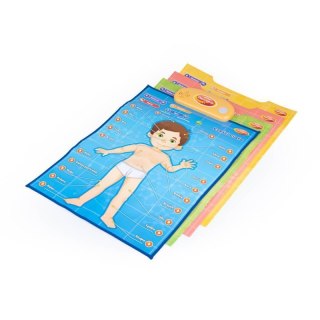 Edukacyjne plakaty człowiek DUMEL